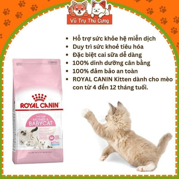 Thức Ăn Hạt Cho Mèo Con Royal Canin Mother & Babycat