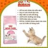 Thức Ăn Hạt Cho Mèo Con Royal Canin Mother & Babycat