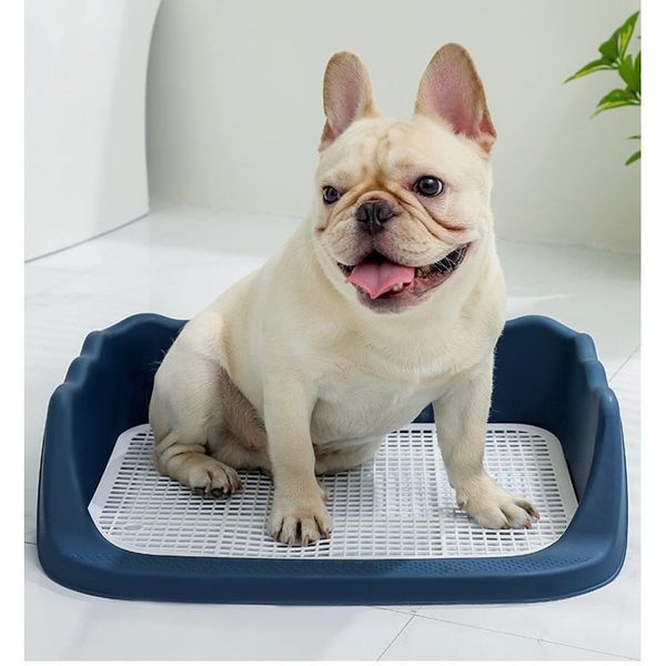 Khay vệ sinh cho Chó có thành cao chống văng nước 40x50cm
