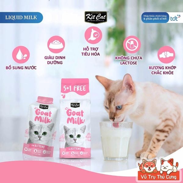 Sữa Cho Mèo KitCat Goat Milk Gói 50ml - Không Lactose