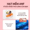 Thức Ăn Hạt Mềm Cho Chó ANF, Soft Balance Hàn Quốc