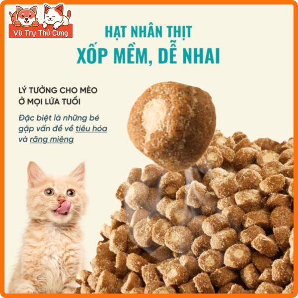(Mua 1 Tặng 4) Thức Ăn Cho Mèo Bite Of Wild 1Kg Cao Cấp Giàu Đạm, Không Độn Ngũ Cốc-Nhiều Thịt