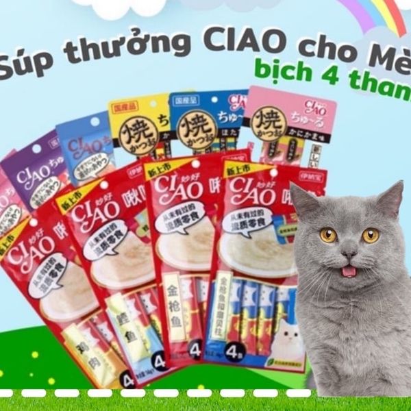 Súp Thưởng Cho Mèo Ciao Churu 4 thanh