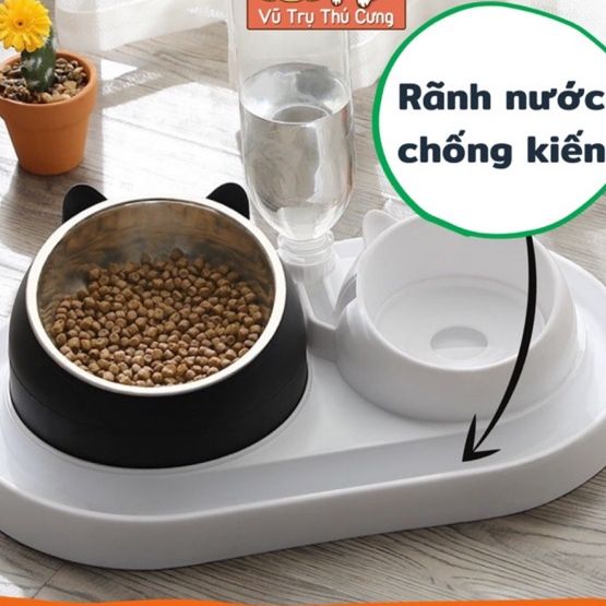 Bát Ăn Chống Kiến Và Chống Gù Lưng Cho Chó Mèo Kèm Bình Nước Tự Động