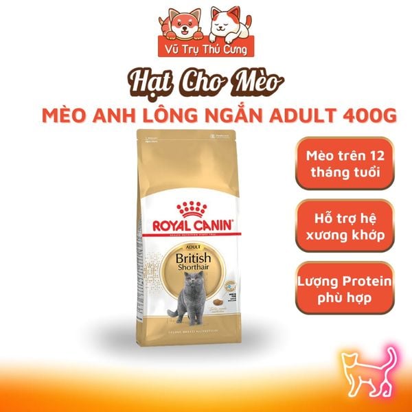 (400g) Hạt Cho Mèo Royal Canin Kitten, MotherBabycat, Indoor, Fit32, HairBall, HairSkin, Shorthair
