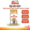 (400g) Hạt Cho Mèo Royal Canin Kitten, MotherBabycat, Indoor, Fit32, HairBall, HairSkin, Shorthair