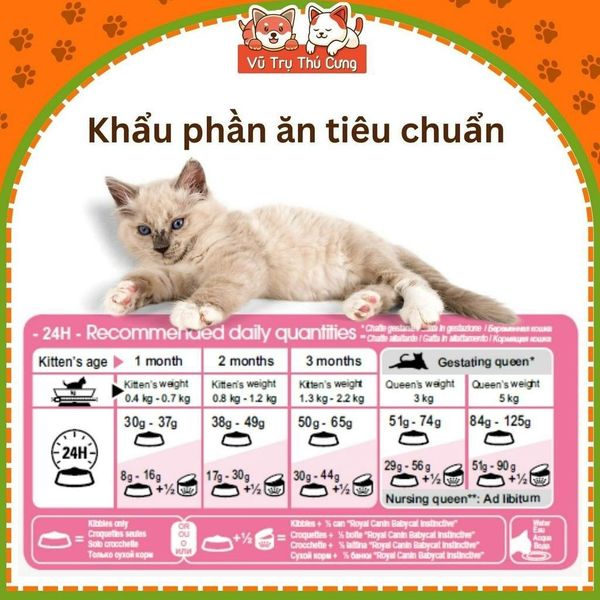 (4Kg) Hạt Cho Mèo Con Royal Canin Mother & BabyCat