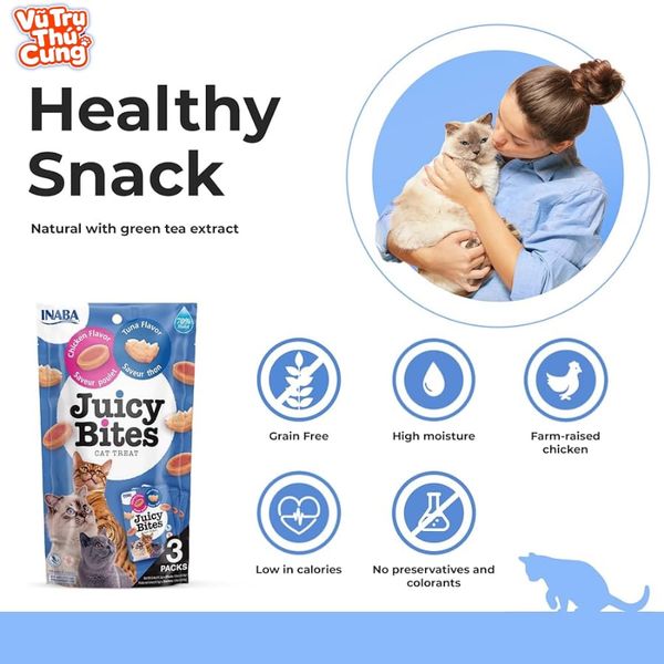 Bánh Thưởng Cho Mèo Inaba Juicy Bites Viên Mềm Gói 34G