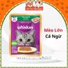 Thùng 28 Gói Pate Cho Mèo Whiskas 80g