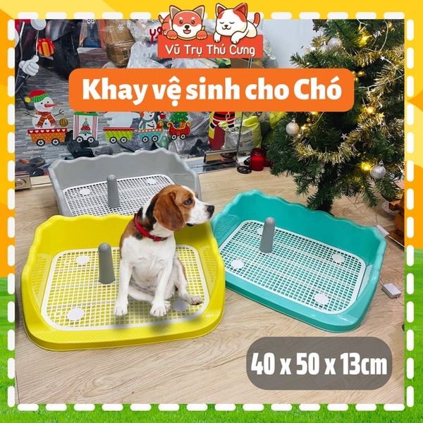Khay vệ sinh cho Chó có thành cao chống văng nước 40x50cm
