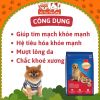 Hạt Cho Chó Trưởng Thành Vị Bò Nướng SmartHeart 3kg