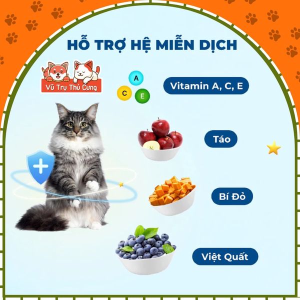 Hạt Cho Mèo MRVET G1 Không Chứa Ngũ Cốc Mix Topping Gói 1KG (Tặng Súp Thưởng)2
