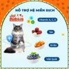 Hạt Cho Mèo MRVET G1 Không Chứa Ngũ Cốc Mix Topping Gói 1KG (Tặng Súp Thưởng)2