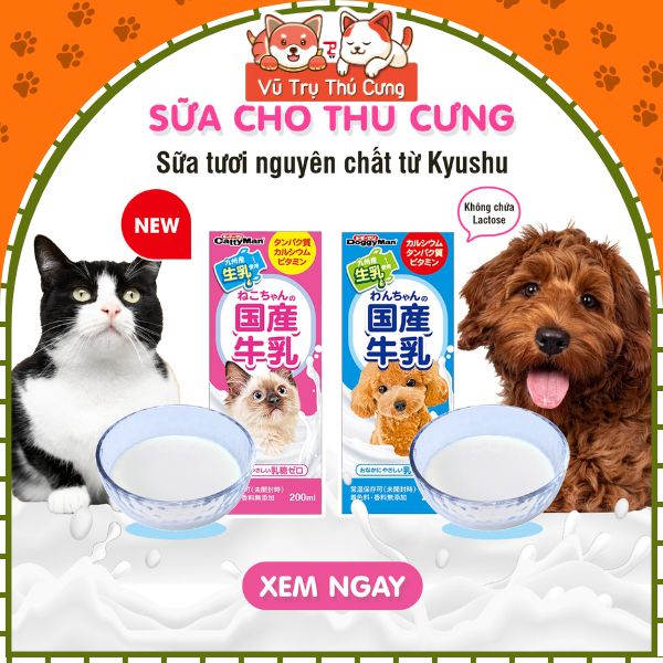 Sữa Tươi Pha Sẵn Không Chứa Lactose Dành Cho Chó Mèo DoggyMan 200ml2