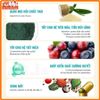 (Mua 1 Tặng 4) Thức Ăn Cho Mèo Bite Of Wild 1Kg Cao Cấp Giàu Đạm, Không Độn Ngũ Cốc-Nhiều Thịt