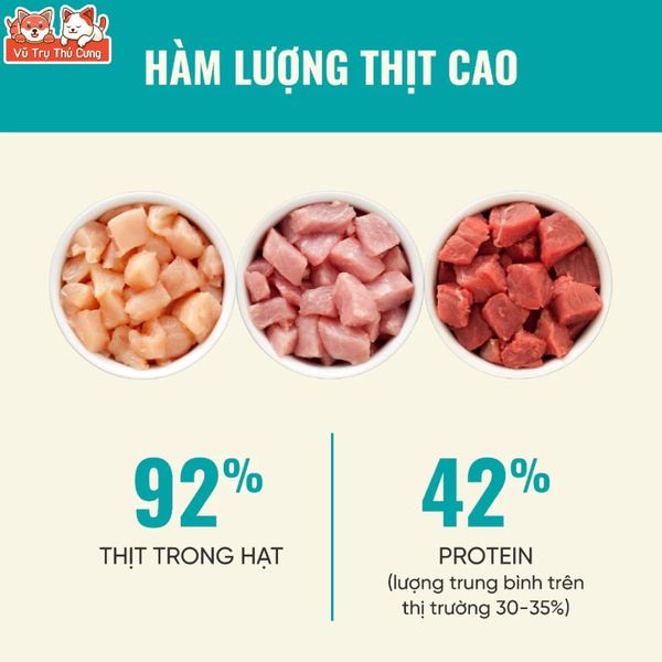 Thức Ăn Cho Mèo Bite Of Wild P42 Không Độn Ngũ Cốc, Hàm Lượng Protein 42%, Giúp Mèo Tăng Cân