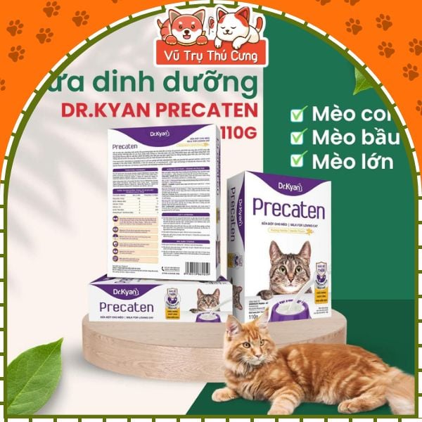 Sữa bột dinh dưỡng Dr Kyan Precaten cho Mèo hộp 100g