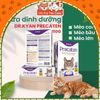 Sữa bột dinh dưỡng Dr Kyan Precaten cho Mèo hộp 100g