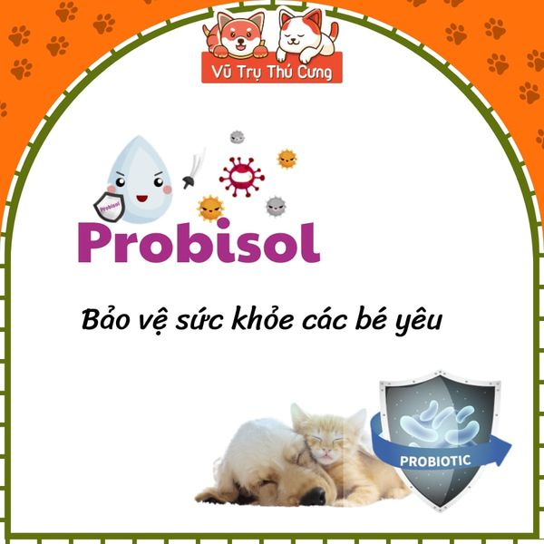 Combo Hộp 50 Gói Men Tiêu Hóa Cho Chó Mèo Probisol 5g2