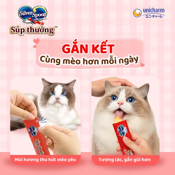 Súp Thưởng Cho Mèo Silver Spoon Thái Lan Từ Thịt Cá Thật (Túi 4 Thanh)