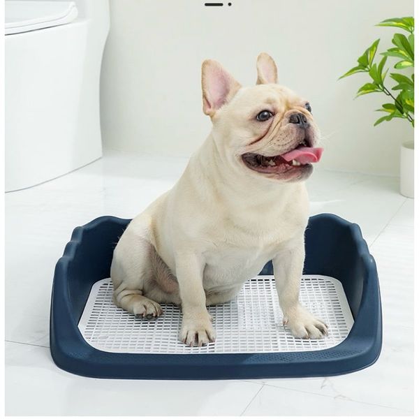 Khay vệ sinh cho Chó có thành cao chống văng nước 40x50cm