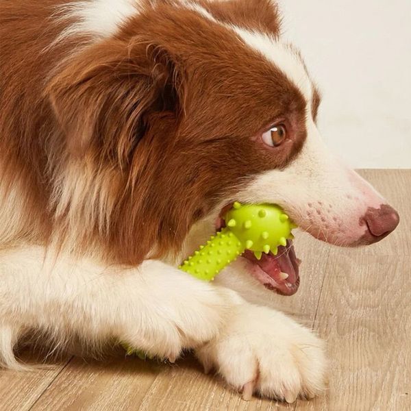Đồ chơi xương gặm cho chó có lục lạc (cục tạ)
