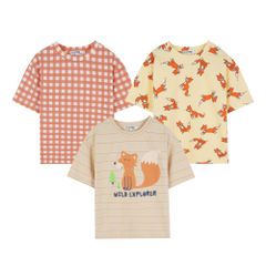 ROBI PACK