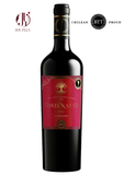 Rượu Vang Chile BTT Fortunatto Carmenere 2022 750ml