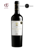 Rượu Vang Chile BTT Fortunatto Carmenere 2022 750ml