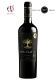 Rượu Vang Chile BTT Fortunatto Reserva Carmenere 2022 750ml