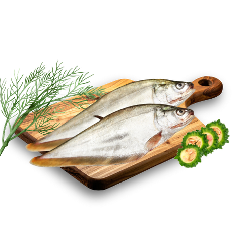 cá thác lác tươi