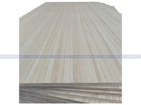  Ván Plywood EV 