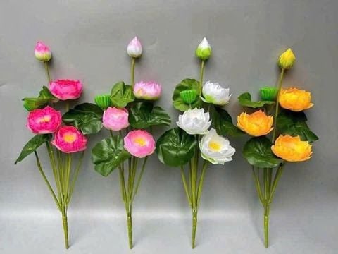  Sen nhựa cao 60cm, 3 bông 1 nụ 
