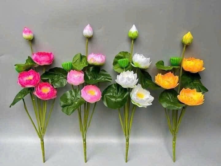  Sen nhựa cao 60cm, 3 bông 1 nụ 