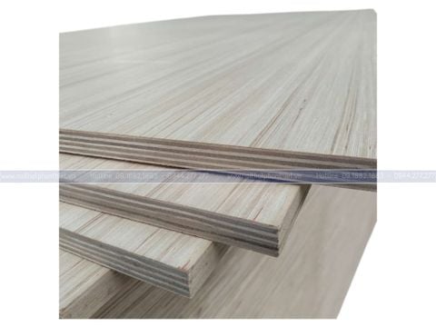  Ván Plywood EV 