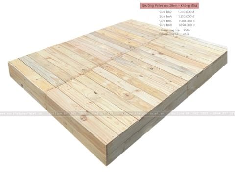  Giường Pallet cao 20cm 