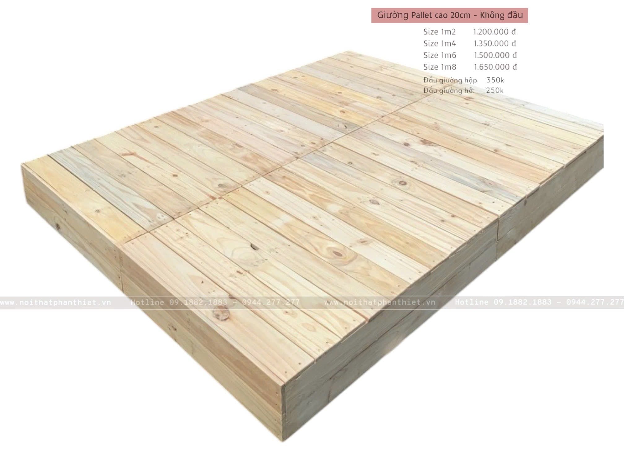 Giường Pallet cao 20cm