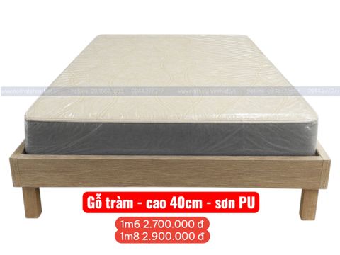  Giường gỗ tràm 