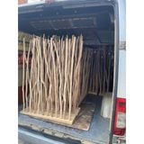  Cây khô decor bóc vỏ 