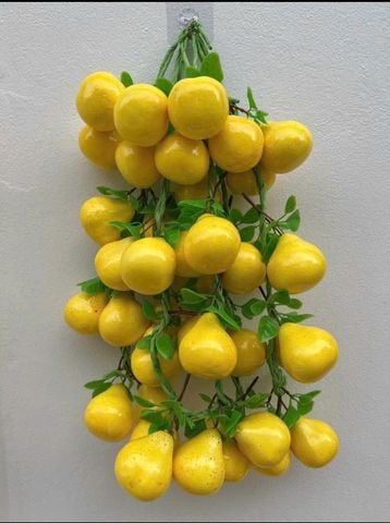  Hoa quả nhựa deco 