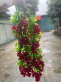  Hoa quả nhựa Decor 