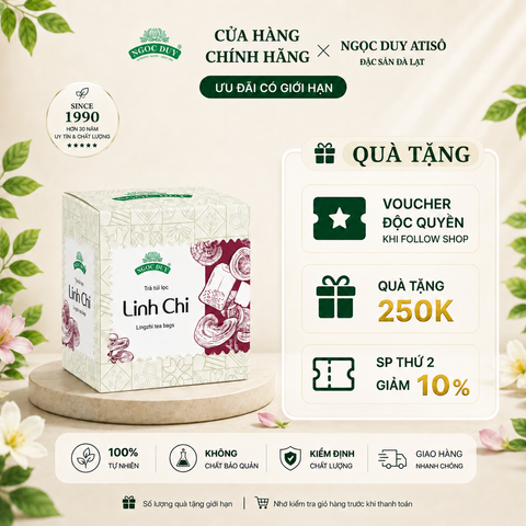Trà Túi Lọc Linh chi Ngọc Duy (20 túi lọc)