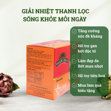 CAO ATISO NGỌT ĐÀ LẠT NGỌC DUY