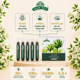 Cao Nước Atiso Không Đường Ngọc Duy