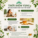 Cao Nước Atiso Không Đường Ngọc Duy
