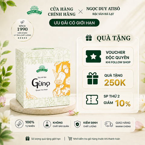 Trà Túi Lọc Gừng Ngọc Duy (20 túi lọc)