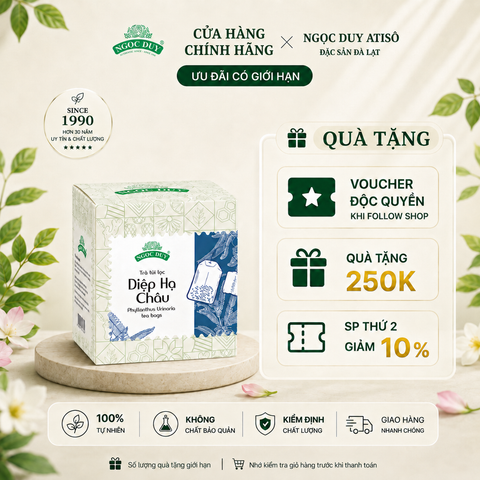 Trà Túi Lọc Diệp Hạ Châu (20 túi lọc)