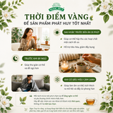 Trà Túi Lọc Khổ Qua túi lọc (20 túi lọc)