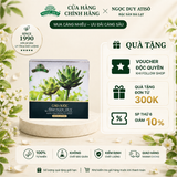 Cao Nước Atiso Không Đường Ngọc Duy