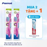 Bàn chải đánh răng Pierrot B-Elle mềm mại dành cho nữ